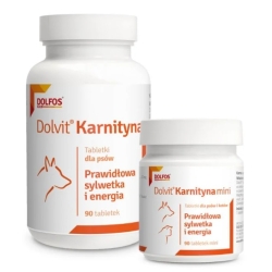 dolfos, Dolvit Carnitin, körperlicher Aktivität